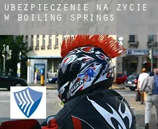 Ubezpieczenie na życie w  Boiling Springs