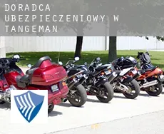 Doradca ubezpieczeniowy w  Tangeman