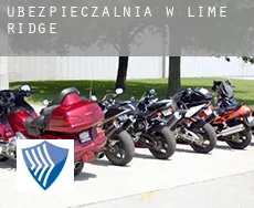 Ubezpieczalnia w  Lime Ridge