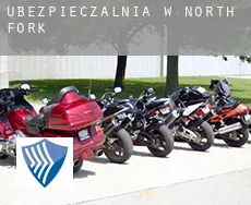 Ubezpieczalnia w  North Fork