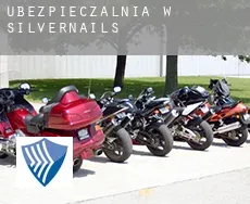 Ubezpieczalnia w  Silvernails