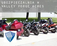 Ubezpieczalnia w  Valley Forge Acres