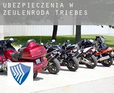 Ubezpieczenia w Zeulenroda-Triebes