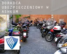 Doradca ubezpieczeniowy w  Ashkum