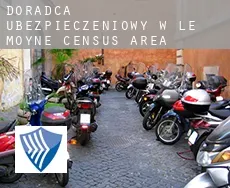 Doradca ubezpieczeniowy w  Le Moyne (census area)