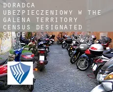 Doradca ubezpieczeniowy w  The Galena Territory