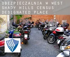 Ubezpieczalnia w  West Shady Hills