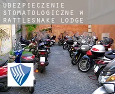 Ubezpieczenie stomatologiczne w  Rattlesnake Lodge