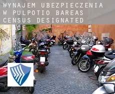 Wynajem ubezpieczenia w  Pulpotio Bareas