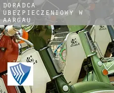 Doradca ubezpieczeniowy w  Aargau