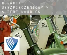 Doradca ubezpieczeniowy w  Albert-Naud (census area)