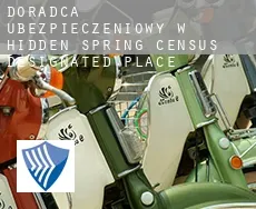 Doradca ubezpieczeniowy w  Hidden Spring