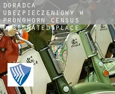 Doradca ubezpieczeniowy w  Pronghorn