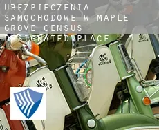 Ubezpieczenia samochodowe w  Maple Grove