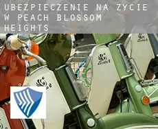Ubezpieczenie na życie w  Peach Blossom Heights