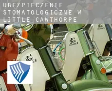 Ubezpieczenie stomatologiczne w  Little Cawthorpe