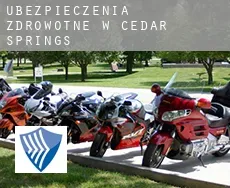 Ubezpieczenia zdrowotne w  Cedar Springs