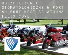 Ubezpieczenie stomatologiczne w  Port au Port West-Aguathuna-Felix Cove
