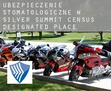 Ubezpieczenie stomatologiczne w  Silver Summit