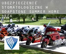 Ubezpieczenie stomatologiczne w Soapstone Summer Home Area