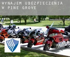 Wynajem ubezpieczenia w  Pine Grove