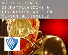 Ubezpieczenie stomatologiczne w  Livingston Wheeler