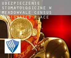 Ubezpieczenie stomatologiczne w  Meadowvale