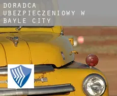 Doradca ubezpieczeniowy w  Bayle City