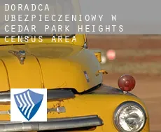 Doradca ubezpieczeniowy w  Cedar Park Heights (census area)