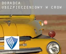 Doradca ubezpieczeniowy w  Crow