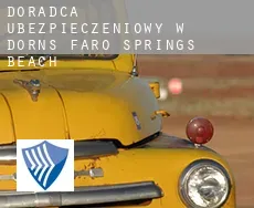 Doradca ubezpieczeniowy w  Dorns Faro Springs Beach