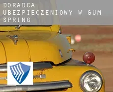 Doradca ubezpieczeniowy w  Gum Spring