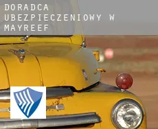 Doradca ubezpieczeniowy w  Mayreef