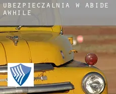 Ubezpieczalnia w  Abide Awhile