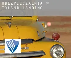 Ubezpieczalnia w  Toland Landing