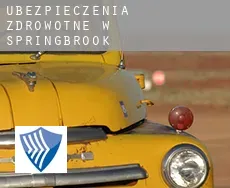 Ubezpieczenia zdrowotne w  Springbrook