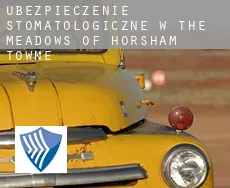 Ubezpieczenie stomatologiczne w  The Meadows of Horsham Towne