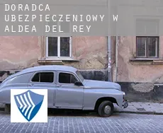 Doradca ubezpieczeniowy w  Aldea del Rey