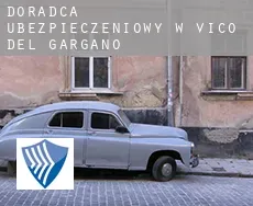 Doradca ubezpieczeniowy w  Vico del Gargano