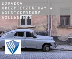 Doradca ubezpieczeniowy w  Wölsickendorf-Wollenberg