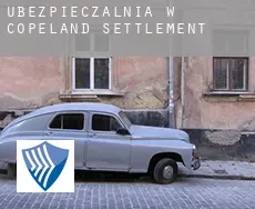 Ubezpieczalnia w  Copeland Settlement