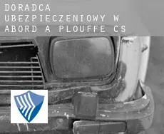 Doradca ubezpieczeniowy w  L'Abord-à-Plouffe (census area)