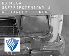 Doradca ubezpieczeniowy w  Alexander Corner