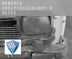 Doradca ubezpieczeniowy w  Bache