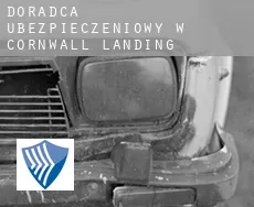 Doradca ubezpieczeniowy w  Cornwall Landing