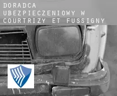 Doradca ubezpieczeniowy w  Courtrizy-et-Fussigny