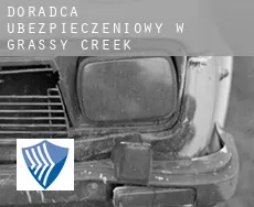 Doradca ubezpieczeniowy w  Grassy Creek