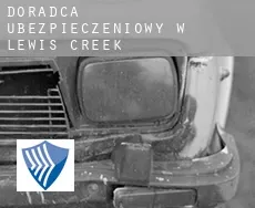 Doradca ubezpieczeniowy w  Lewis Creek