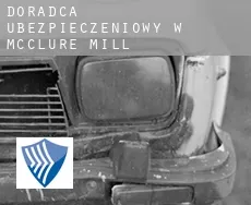 Doradca ubezpieczeniowy w McClure Mill