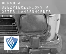 Doradca ubezpieczeniowy w  Oster Langenhorner Feld